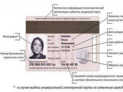 Прикрепленное изображение: Мультипаспорт 02.jpg